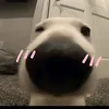 thichan78