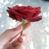 user3080074500370