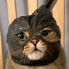 rkaa.rebell