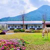 cuocsongfarm
