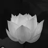 thuy.nguyen1681