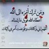 user5623520662311