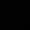 ffsa_911