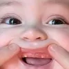 vinzkyowti
