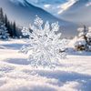 freedom.snow6