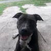 pablopce