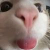kiona_na