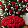tatiana.andriuta7
