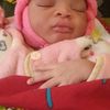 diakalia.sagnon