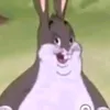 predestinadokkj__
