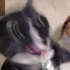 ihateturtl3s