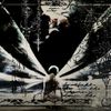 draco_mortem