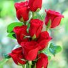user1511060039608