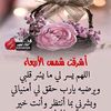 user45036613028588
