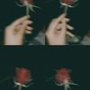 mariam.yossry45