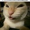 kiky.0048