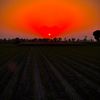 sada_punjab_7