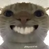 l_______0_______l