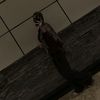 basma.gamal0698