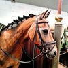 toffee_bailey