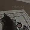 vahashka5