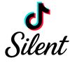besilent062