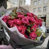 ayham.alnasr