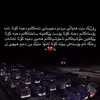 sazan0259