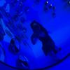 lauu_901