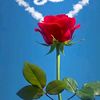 fani_dunya912
