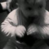 visamiii0