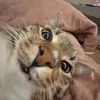 lizzzey2
