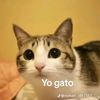 flixxwtf
