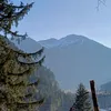 der_pfuscher_nw