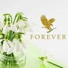 n_forever231
