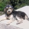 silene.lopez1