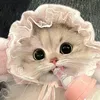nhannhantivi