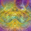 lotusflowerbeing