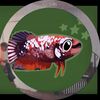 fish_lover09