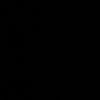 teamnegro69000