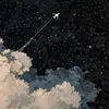 tiktok.id1503