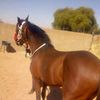user2675718522705