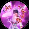 suofe_313