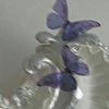 bluezy48