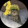 user1550182537617