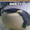 ragebaitnoreal