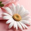 user541731216