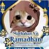 tintan_215