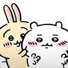 chiikawaroll