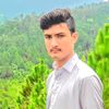m.yahya.dawar